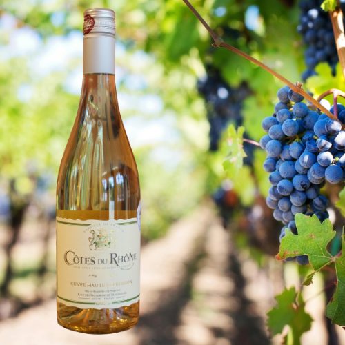 Blanc Cuvée Haute Expression 2021 - Weißwein aus Rochegude